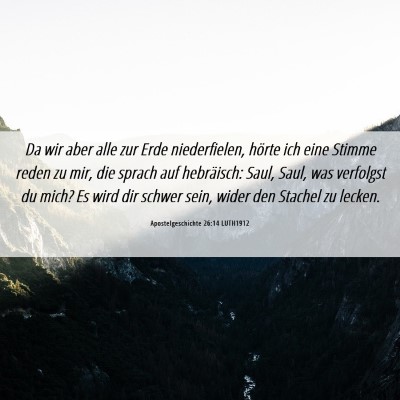 Picture 06 - Apostelgeschichte 26:14 LUTH1912 - Da wir aber alle zur Erde niederfielen, hörte - Bible Verse Picture
