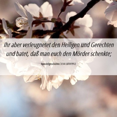 Picture 06 - Apostelgeschichte 3:14 LUTH1912 - Ihr aber verleugnetet den Heiligen und Gerechten - Bible Verse Picture