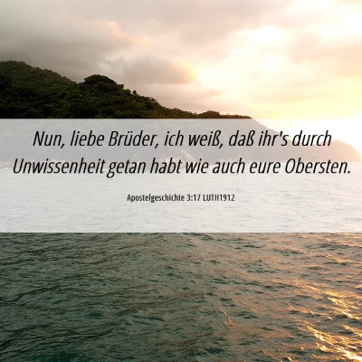 Picture 06 - Apostelgeschichte 3:17 LUTH1912 - Nun, liebe Brüder, ich weiß, daß ihr's durch - Bible Verse Picture