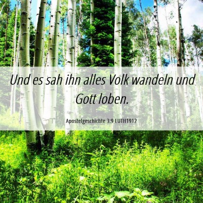 Picture 06 - Apostelgeschichte 3:9 LUTH1912 - Und es sah ihn alles Volk wandeln und Gott - Bible Verse Picture