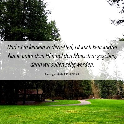 Picture 06 - Apostelgeschichte 4:12 LUTH1912 - Und ist in keinem andern-Heil, ist auch kein - Bible Verse Picture