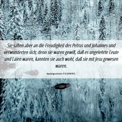 Picture 06 - Apostelgeschichte 4:13 LUTH1912 - Sie sahen aber an die Freudigkeit des Petrus und - Bible Verse Picture