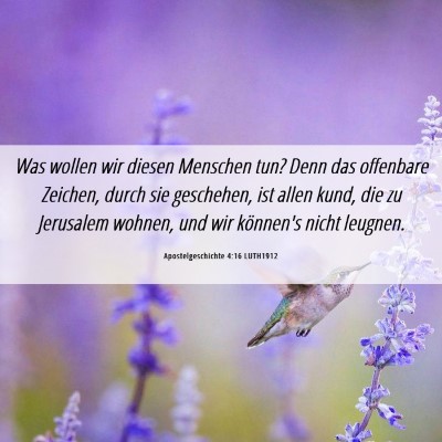 Picture 06 - Apostelgeschichte 4:16 LUTH1912 - Was wollen wir diesen Menschen tun? Denn das - Bible Verse Picture