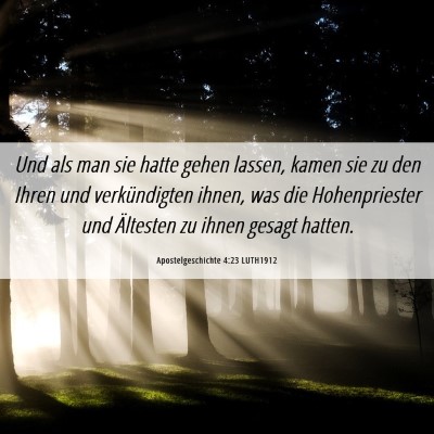 Picture 06 - Apostelgeschichte 4:23 LUTH1912 - Und als man sie hatte gehen lassen, kamen sie zu - Bible Verse Picture