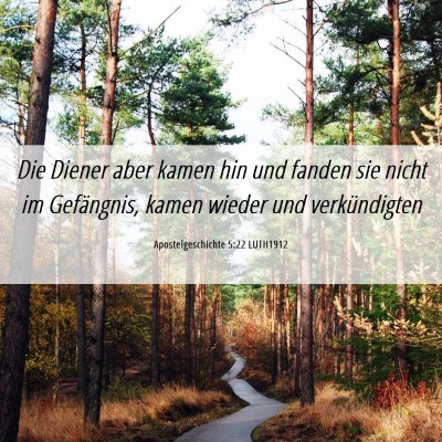 Picture 06 - Apostelgeschichte 5:22 LUTH1912 - Die Diener aber kamen hin und fanden sie nicht im - Bible Verse Picture
