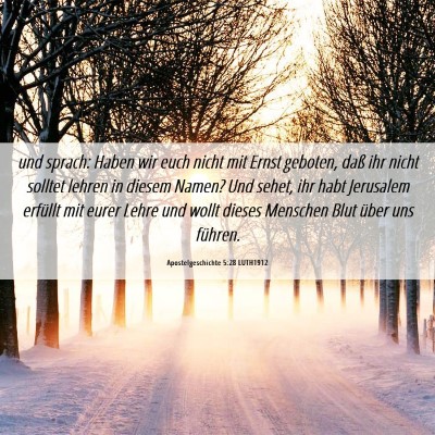 Picture 06 - Apostelgeschichte 5:28 LUTH1912 - und sprach: Haben wir euch nicht mit Ernst - Bible Verse Picture