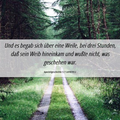 Picture 06 - Apostelgeschichte 5:7 LUTH1912 - Und es begab sich über eine Weile, bei drei - Bible Verse Picture