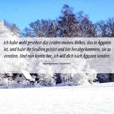 Picture 06 - Apostelgeschichte 7:34 LUTH1912 - Ich habe wohl gesehen das Leiden meines Volkes, - Bible Verse Picture