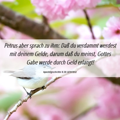 Picture 06 - Apostelgeschichte 8:20 LUTH1912 - Petrus aber sprach zu ihm: Daß du verdammt - Bible Verse Picture