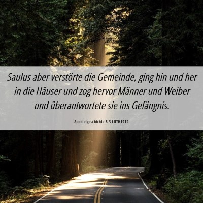 Picture 06 - Apostelgeschichte 8:3 LUTH1912 - Saulus aber verstörte die Gemeinde, ging hin und - Bible Verse Picture