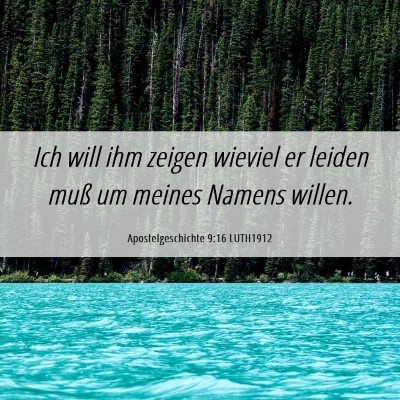 Picture 06 - Apostelgeschichte 9:16 LUTH1912 - Ich will ihm zeigen wieviel er leiden muß um - Bible Verse Picture