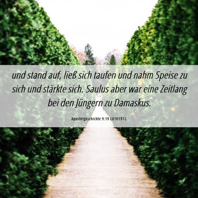 Picture 06 - Apostelgeschichte 9:19 LUTH1912 - und stand auf, ließ sich taufen und nahm Speise - Bible Verse Picture
