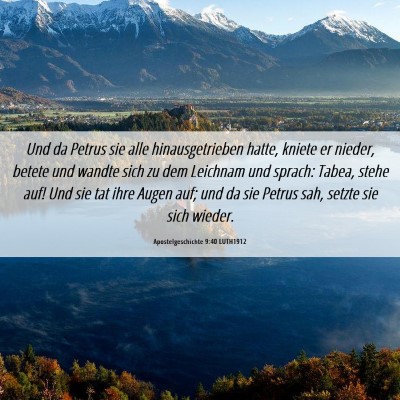 Picture 06 - Apostelgeschichte 9:40 LUTH1912 - Und da Petrus sie alle hinausgetrieben hatte, - Bible Verse Picture