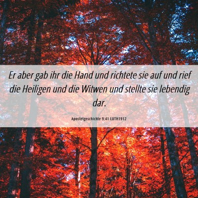 Picture 06 - Apostelgeschichte 9:41 LUTH1912 - Er aber gab ihr die Hand und richtete sie auf und - Bible Verse Picture