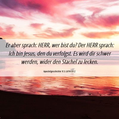 Picture 06 - Apostelgeschichte 9:5 LUTH1912 - Er aber sprach: HERR, wer bist du? Der HERR - Bible Verse Picture