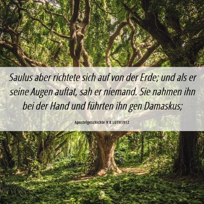 Picture 06 - Apostelgeschichte 9:8 LUTH1912 - Saulus aber richtete sich auf von der Erde; und - Bible Verse Picture