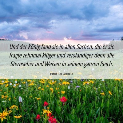 Picture 06 - Daniel 1:20 LUTH1912 - Und der König fand sie in allen Sachen, die er - Bible Verse Picture