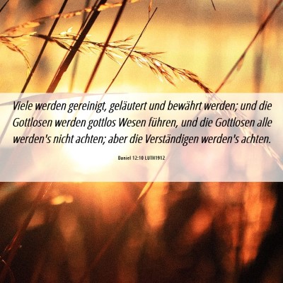 Picture 06 - Daniel 12:10 LUTH1912 - Viele werden gereinigt, geläutert und bewährt - Bible Verse Picture