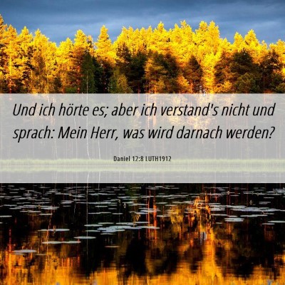 Picture 06 - Daniel 12:8 LUTH1912 - Und ich hörte es; aber ich verstand's nicht und - Bible Verse Picture
