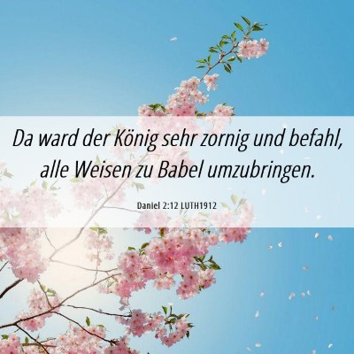 Picture 06 - Daniel 2:12 LUTH1912 - Da ward der König sehr zornig und befahl, alle - Bible Verse Picture
