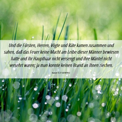 Picture 06 - Daniel 3:27 LUTH1912 - Und die Fürsten, Herren, Vögte und Räte kamen - Bible Verse Picture
