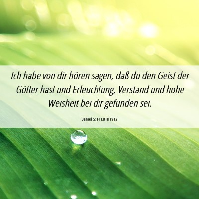 Picture 06 - Daniel 5:14 LUTH1912 - Ich habe von dir hören sagen, daß du den Geist - Bible Verse Picture