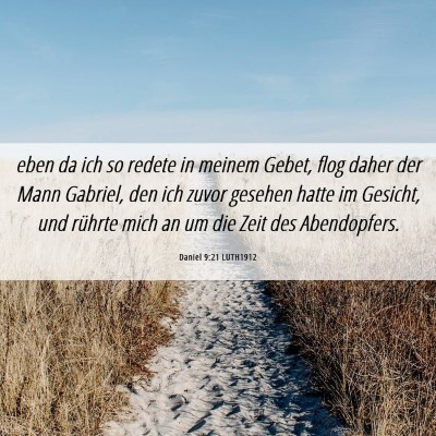 Picture 06 - Daniel 9:21 LUTH1912 - eben da ich so redete in meinem Gebet, flog daher - Bible Verse Picture