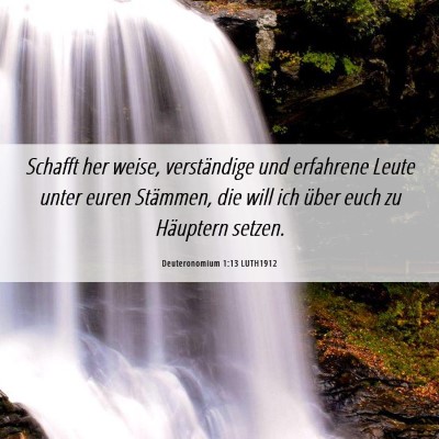 Picture 06 - Deuteronomium 1:13 LUTH1912 - Schafft her weise, verständige und erfahrene - Bible Verse Picture