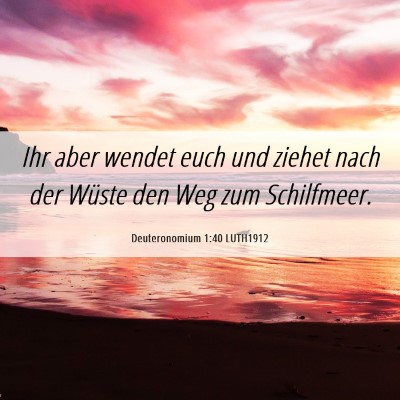 Picture 06 - Deuteronomium 1:40 LUTH1912 - Ihr aber wendet euch und ziehet nach der Wüste - Bible Verse Picture