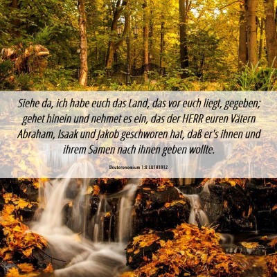 Picture 06 - Deuteronomium 1:8 LUTH1912 - Siehe da, ich habe euch das Land, das vor euch - Bible Verse Picture