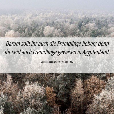Picture 06 - Deuteronomium 10:19 LUTH1912 - Darum sollt ihr auch die Fremdlinge lieben; denn - Bible Verse Picture