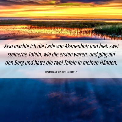 Picture 06 - Deuteronomium 10:3 LUTH1912 - Also machte ich die Lade von Akazienholz und hieb - Bible Verse Picture