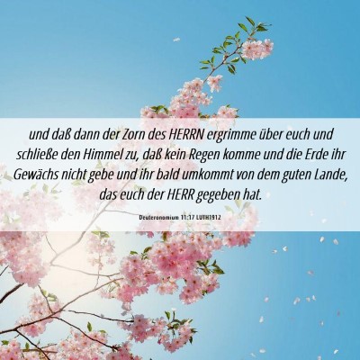 Picture 06 - Deuteronomium 11:17 LUTH1912 - und daß dann der Zorn des HERRN ergrimme über - Bible Verse Picture
