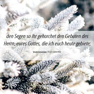 Picture 06 - Deuteronomium 11:27 LUTH1912 - den Segen so ihr gehorchet den Geboten des Herrn, - Bible Verse Picture