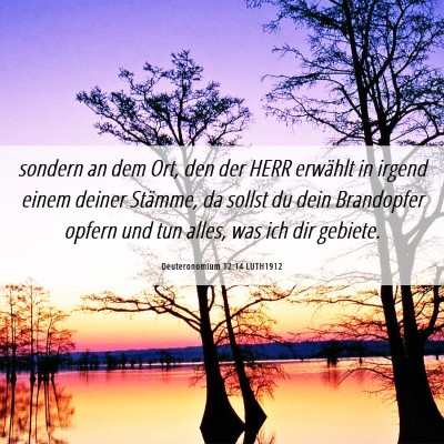 Picture 06 - Deuteronomium 12:14 LUTH1912 - sondern an dem Ort, den der HERR erwählt in - Bible Verse Picture