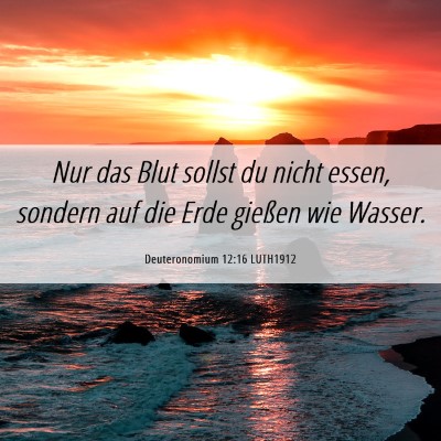 Picture 06 - Deuteronomium 12:16 LUTH1912 - Nur das Blut sollst du nicht essen, sondern auf - Bible Verse Picture