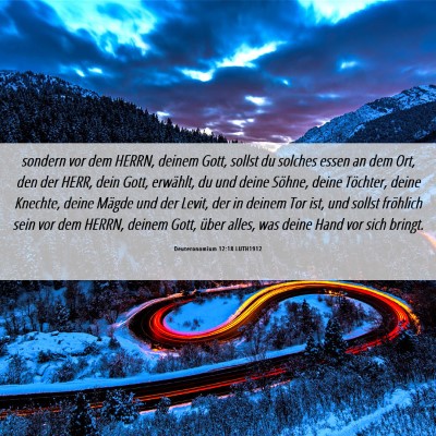 Picture 06 - Deuteronomium 12:18 LUTH1912 - sondern vor dem HERRN, deinem Gott, sollst du - Bible Verse Picture