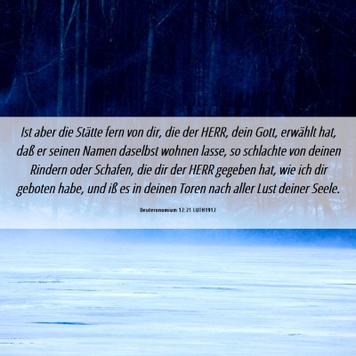 Picture 06 - Deuteronomium 12:21 LUTH1912 - Ist aber die Stätte fern von dir, die der HERR, - Bible Verse Picture