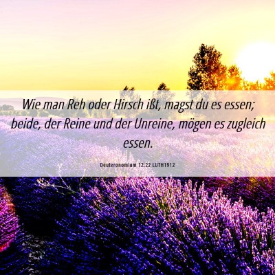 Picture 06 - Deuteronomium 12:22 LUTH1912 - Wie man Reh oder Hirsch ißt, magst du es essen; - Bible Verse Picture