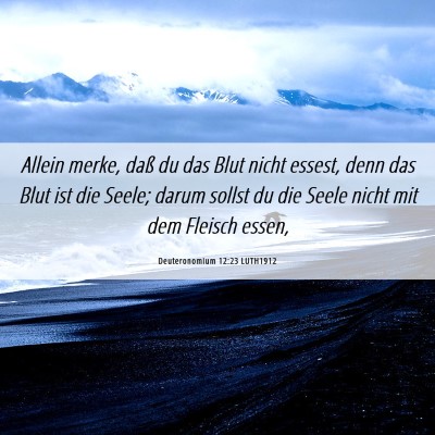 Picture 06 - Deuteronomium 12:23 LUTH1912 - Allein merke, daß du das Blut nicht essest, denn - Bible Verse Picture