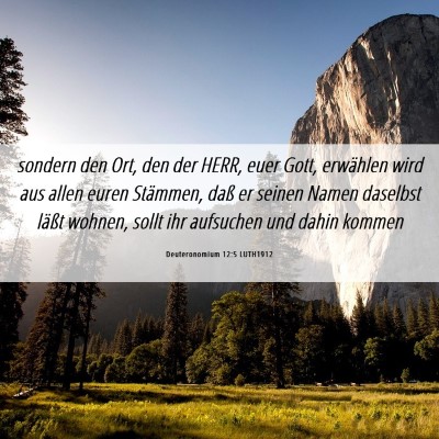 Picture 06 - Deuteronomium 12:5 LUTH1912 - sondern den Ort, den der HERR, euer Gott, - Bible Verse Picture