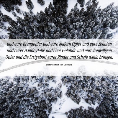 Picture 06 - Deuteronomium 12:6 LUTH1912 - und eure Brandopfer und eure andern Opfer und - Bible Verse Picture