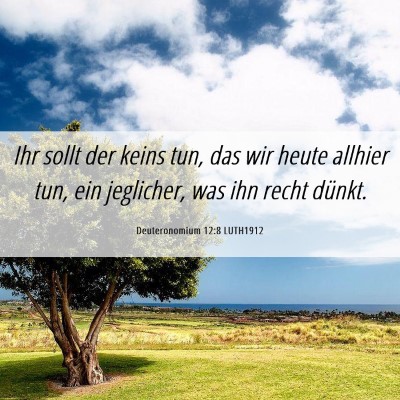 Picture 06 - Deuteronomium 12:8 LUTH1912 - Ihr sollt der keins tun, das wir heute allhier - Bible Verse Picture