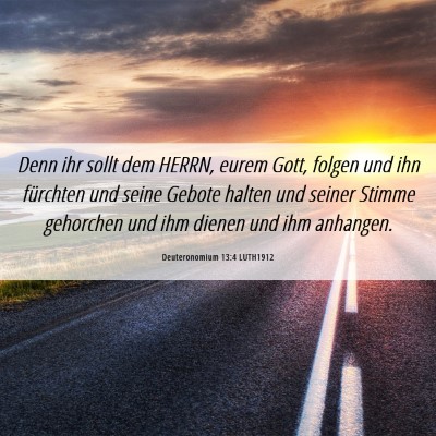 Picture 06 - Deuteronomium 13:4 LUTH1912 - Denn ihr sollt dem HERRN, eurem Gott, folgen und - Bible Verse Picture