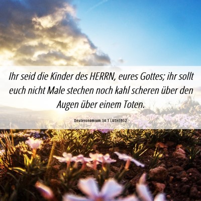 Picture 06 - Deuteronomium 14:1 LUTH1912 - Ihr seid die Kinder des HERRN, eures Gottes; ihr - Bible Verse Picture