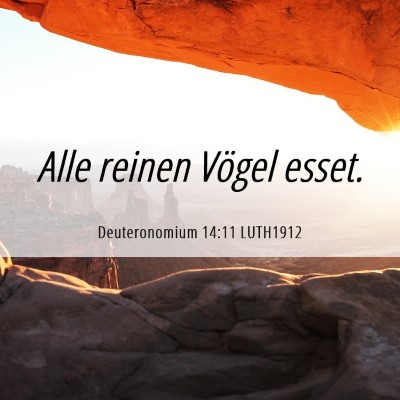 Picture 06 - Deuteronomium 14:11 LUTH1912 - Alle reinen Vögel - Bible Verse Picture