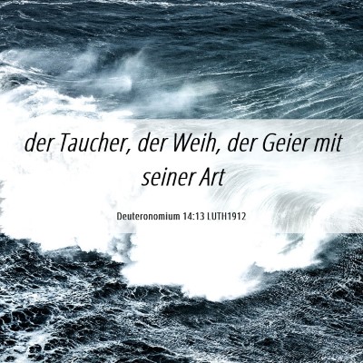 Picture 06 - Deuteronomium 14:13 LUTH1912 - der Taucher, der Weih, der Geier mit seiner - Bible Verse Picture