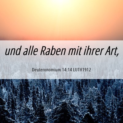 Picture 06 - Deuteronomium 14:14 LUTH1912 - und alle Raben mit ihrer - Bible Verse Picture