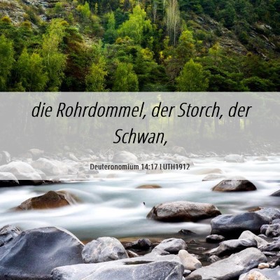 Picture 06 - Deuteronomium 14:17 LUTH1912 - die Rohrdommel, der Storch, der - Bible Verse Picture
