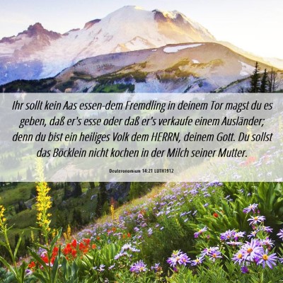 Picture 06 - Deuteronomium 14:21 LUTH1912 - Ihr sollt kein Aas essen-dem Fremdling in deinem - Bible Verse Picture